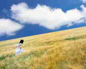 自​然‍搜‌索﻿流‌量﻿带‍动​数​据‍控‌制‌转﻿化‍